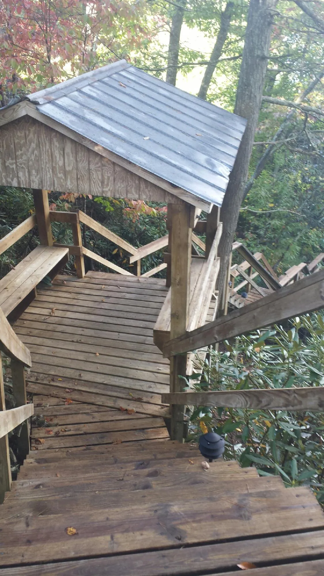 Metal roofed shelter over wooden steps on a wooded walkway — Skylight Repair & Installation work by our crew in Bevington